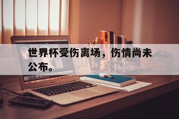九游网页版登录入口-世界杯受伤离场，伤情尚未公布。